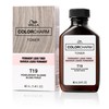 COLORCHARM Permanent Liquid Toners| Neutralize Brass| Free of Parabens| Vegan|