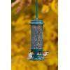 Brome Squirrel Buster Legacy Squirrel-proof Bird Feeder w/4 Metal Perches,