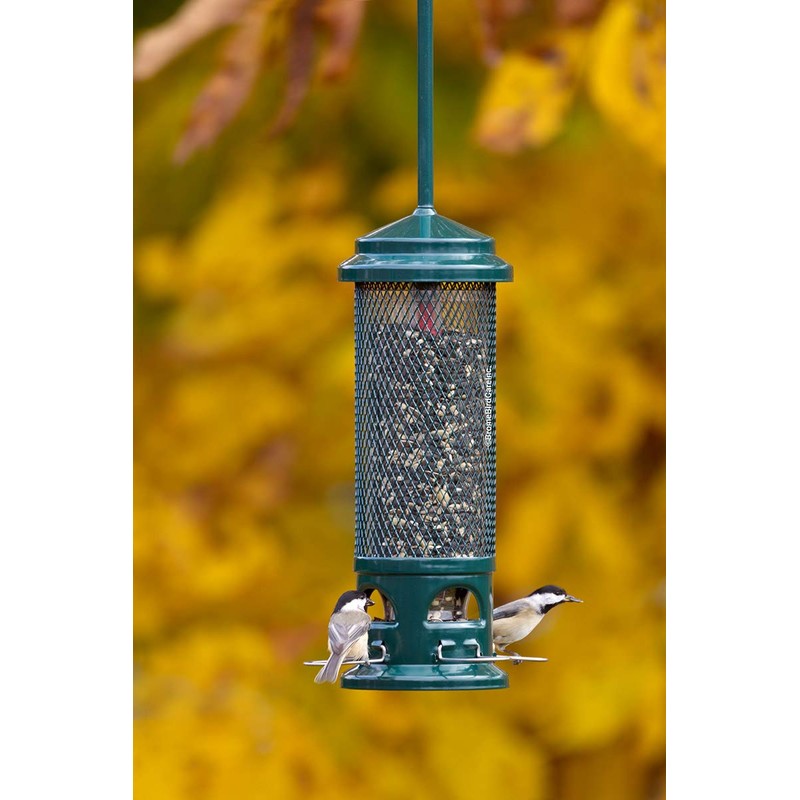 Brome Squirrel Buster Legacy Squirrel-proof Bird Feeder w/4 Metal Perches,