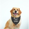 JXGZSO 1 Piece Graduation Dog Pet Bandana Proud Pup of