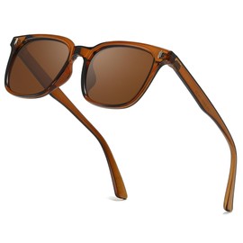 IGnaef Trendy Square Sunglasses for Women Classic Polarized UV Protection Sunnies IF819