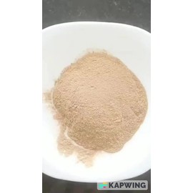 Hongo Melena De Leon 100gr. Polvo Natural                                                                                                             