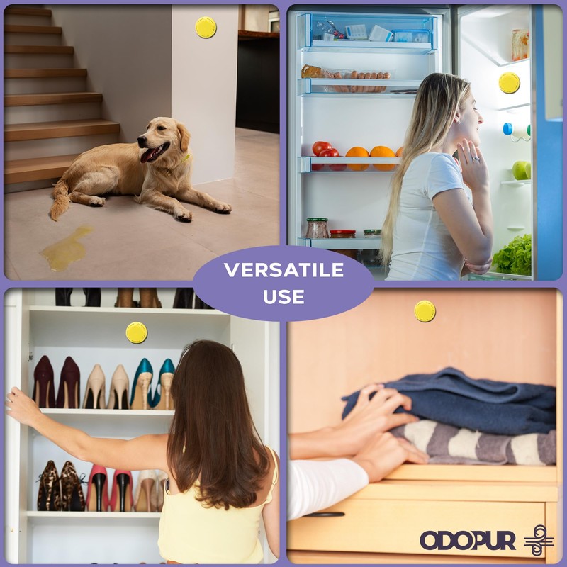 Odopur Scented Charcoal Odor Deodorizer with Reusable Casing, Lavender