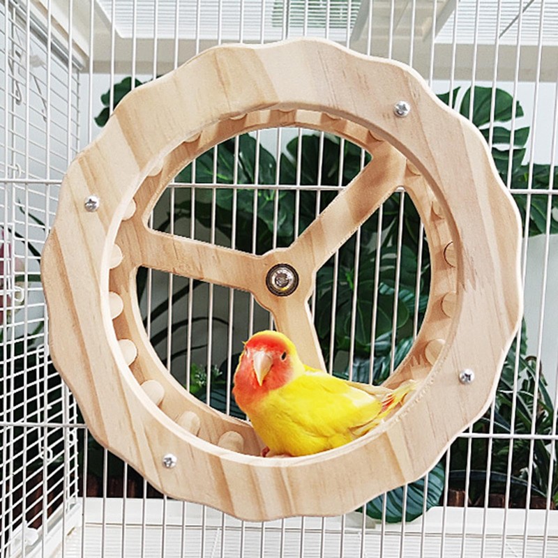 Bird Running Wheel, Spinner Running Wheels for Bird, Chew Beak