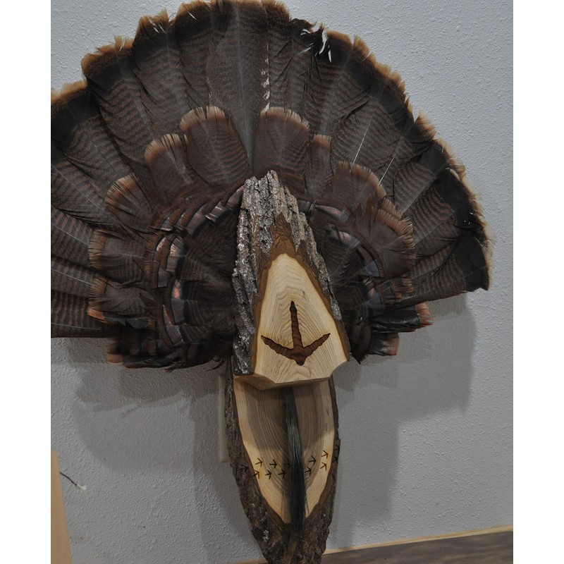 Turkey Fan Plaque Turkey Mounting Kit Turkey Hunting Turkey Fan