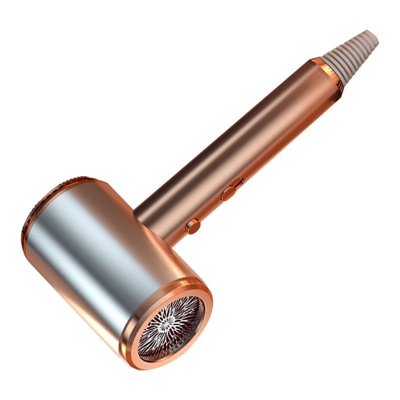 Negative Ion Hair Dryer High Power Blue Light Caring Quiet