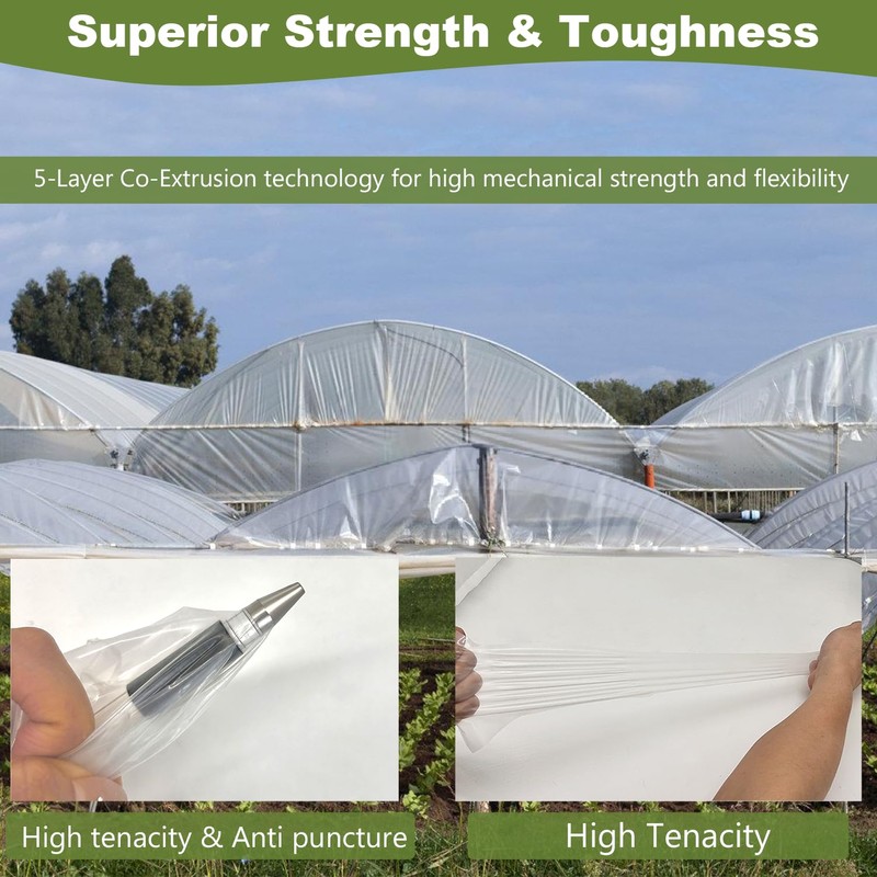 Greenhouse Plastic Sheeting, 24 x 25ft 6 mil Clear Greenhouse
