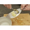 Kikkerland Stainless Steel Fish Shape Handheld Garlic Crusher Mincer Press,