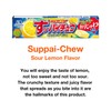 OTSUMAMI TOKYO Hi Chew and Puccho Puchao Candy Japan Limited