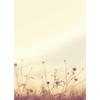 paperandpicture.de Letter Paper Autumn Meadow in the Sun 100 Sheets