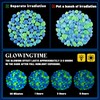 900Pcs Mixed Size Glow in The Dark Pebbles Glowing Rocks