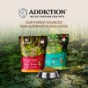 Addiction Homestyle Venison & Cranberry Dinner Raw Alternative Dog Food