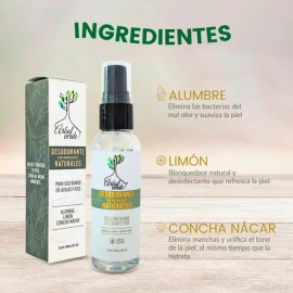 Desodorante Natural Aclarante Vegano Líquido De Alumbre 3 Pz Fragancia Tea tree