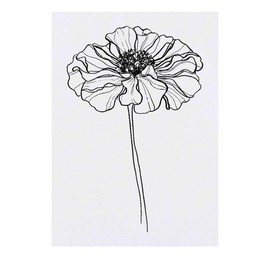 'Marigold Glory Flower ' Temporary Tattoo - Water Resistant, Skin-Safe, Non-Toxic Transfer (TO00076295)