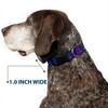 Buckle Down Plastic Clip Collar - Galaxy Blues/Purples - 1/2"
