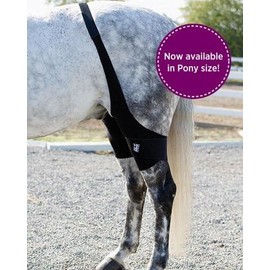 Ice Horse Pony Size Pair Stifle Wrap for Equine Therapy - Comes with 4 Ice Packs