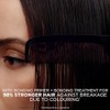 Clairol Colour Strong Permanent Hair Dye - 4.63 Sunset Mauve
