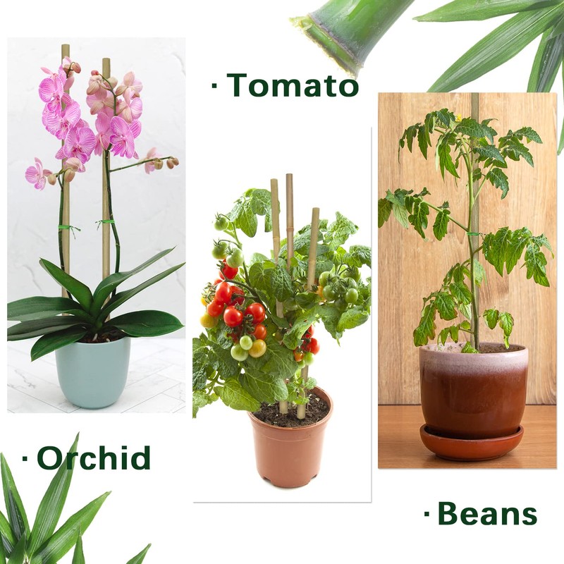 Plant Stakes,12 Inches Natural Garden Bamboo Sticks,BOVITRO 20Pcs Plant Support