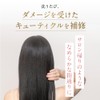 ISM Shampoo & Treatment, Trial Set, Shell Pink, Moana Blue,
