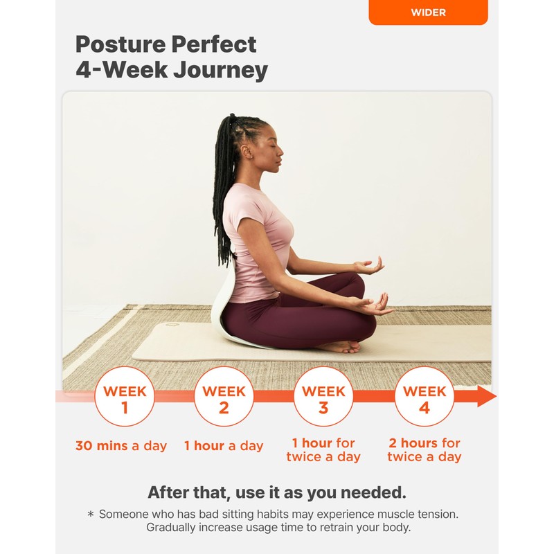 curble Wider 2PACK, Ergonomic Lower Back Chair Support, Lumbar Support