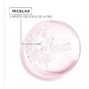 Agua Micelar Skinactive Todo En 1 Facial Garnier 100ml
