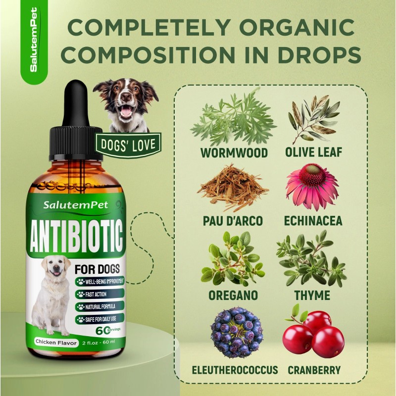 Salutempet Dog Antibiotics for Infection, Cough, & UTI | Herbal,