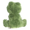 Aurora® Enchanting Dreamy Eyes™ Fantabulous Frog™ Stuffed Animal - Captivating