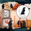 50Pcs Mini Resin Crows Black Raven Small Resin Animals for