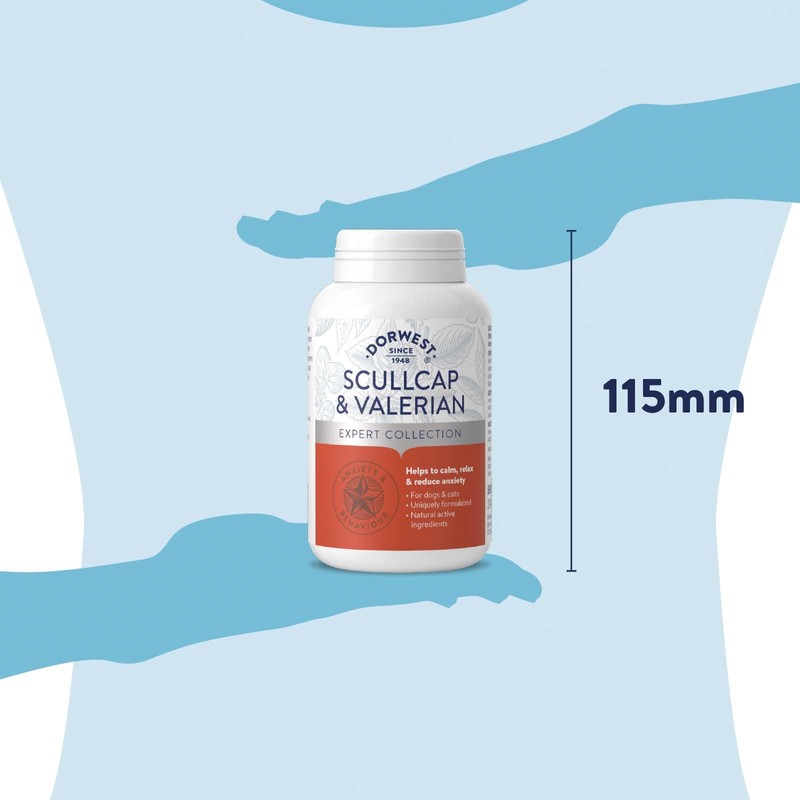 DORWEST HERBS Scullcap & Valerian Calming Tablets for Dogs and