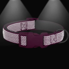 Didog Reflective Dog Collar with Buckle Adjustable Soft Neoprene Padded Nylon Pet Collars for Small Medium Large Dogs, Hot Pink, M