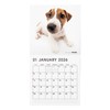 THE DOG 2026 Wall Calendar Large Size [Jack Russell Terrier]