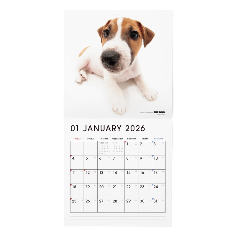 THE DOG 2026 Wall Calendar Large Size [Jack Russell Terrier]
