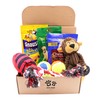 Fansco Dog Gift Box Set with Pet Toys Treats Snacks
