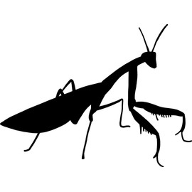 hBARSCI Praying Mantis - 5 Inches - for Cars, Trucks, Windows, Laptops, Tablets - Outdoor-Grade 2.5mil Thick Vinyl - Black