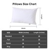 FISHDRU Goose Feathers and Down White Pillows with 100% Cotton