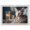 Sphinx Katzen. Eleganz auf leisen Pfoten (Wandkalender 2026 DIN A4
