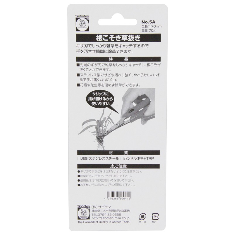 Cactus No.5-A Without grass roots