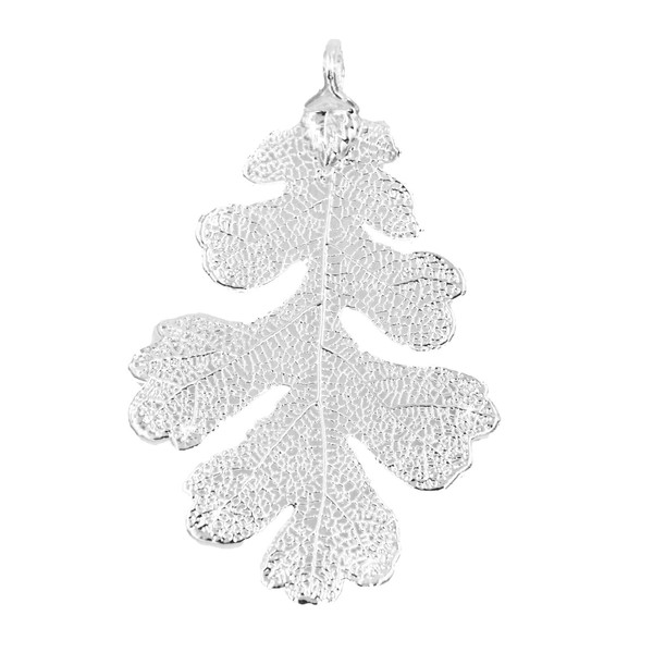 Zhannel Real Leaf PENDANT Lacey OAK Dipped in Silver Genuine Leaf New