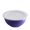 OMADA Sanaliving Line 6.5L Large Kitchen Bowl with Lid, Antibacterial,