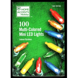 Home Accents 100 LED Multi Colored Mini Lights INDOOR/OUTDOOR Green Wire by HOME ACCENTS