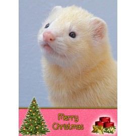 Ferret Christmas Card 'Merry Christmas' - Special Xmas Card for Him Her Kids Male Female