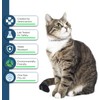 Flea and Tick Collar for Cats - Offers 12-Month Protection,