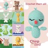Red Heart Amigurumi Chirp The Bird Kit