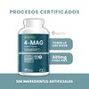 Wellthy Mag Magnesio Complex 300 Cápsulas Equivalente 360mg Elemental Citrato