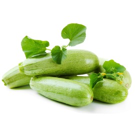 Italian Zucchini 1 Oz ~250 Seeds – Genovese Squash—Heirloom Non-GMO Cucurbita Pepo—Light Green Summer Squash—Easy-to-Grow Garden Seed—High Yield—50–60 Days—Open-Pollinated