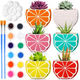 Pasimy 6 Set Ceramics to Paint DIY Ceramic Succulent Planter Pots Paint Your Own Flower Pots Craft Kit Unpainted Bisque Flowerpot with Brush Palette for Family Activity Holiday Gifts(Orange)