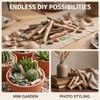 20 Pcs Natural Driftwood Pieces Branch Slices Craft Sticks Beach