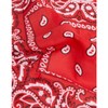 Laciteinterdite Set of 3 Paisley Bandanas for Men and Women,