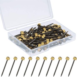 60pcs Picture Hanging Nails - Brass Head Masonry Pin Nails with Storage Box, Durable Wall Picture Pins for Hanging Pictures, Photo Frames, and Decorations