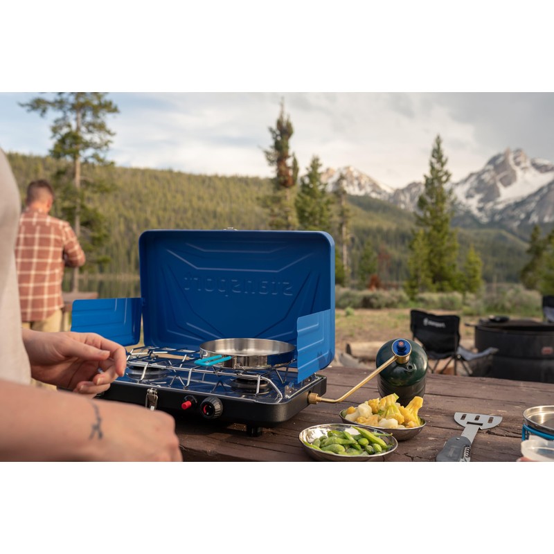 Brass Propane Stove Pressure Regulator 10 PSI - Camping Stove
